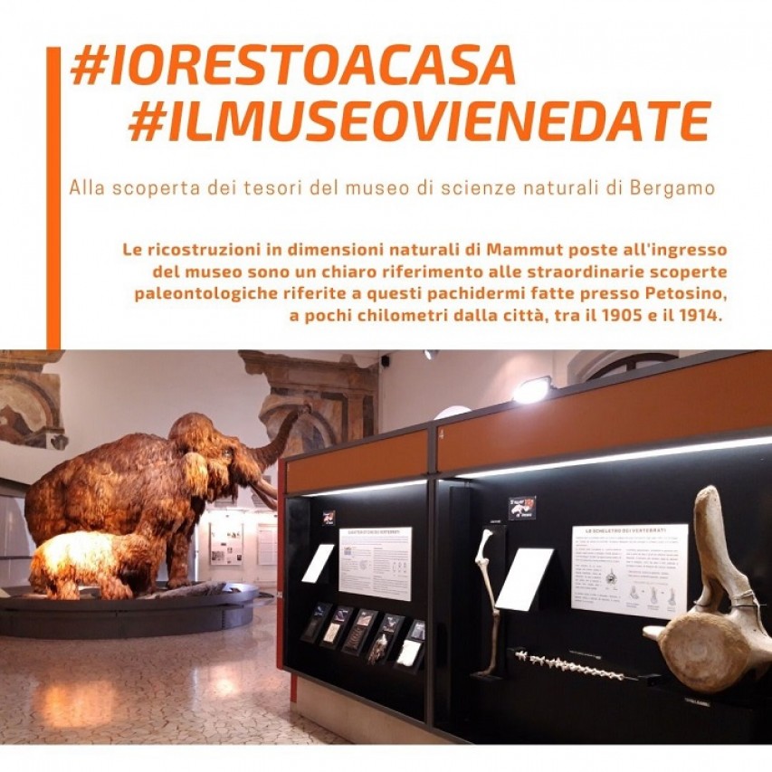 #iorestoacasa #ilmuseovienedate